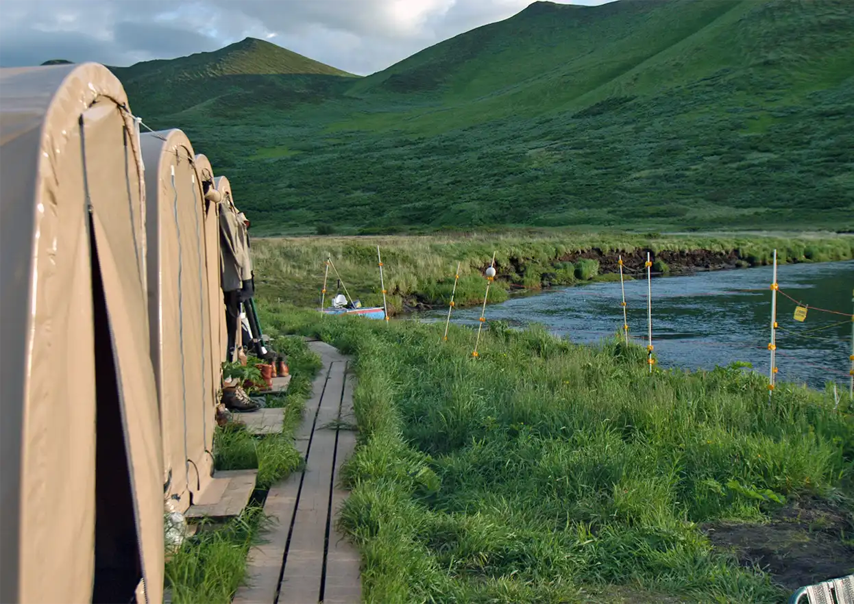 The Fly Shop Travel Image