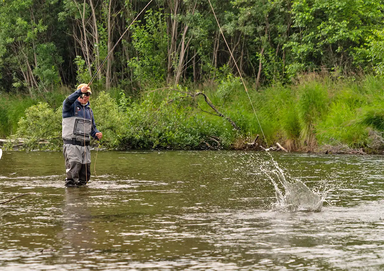 The Fly Shop Travel Image