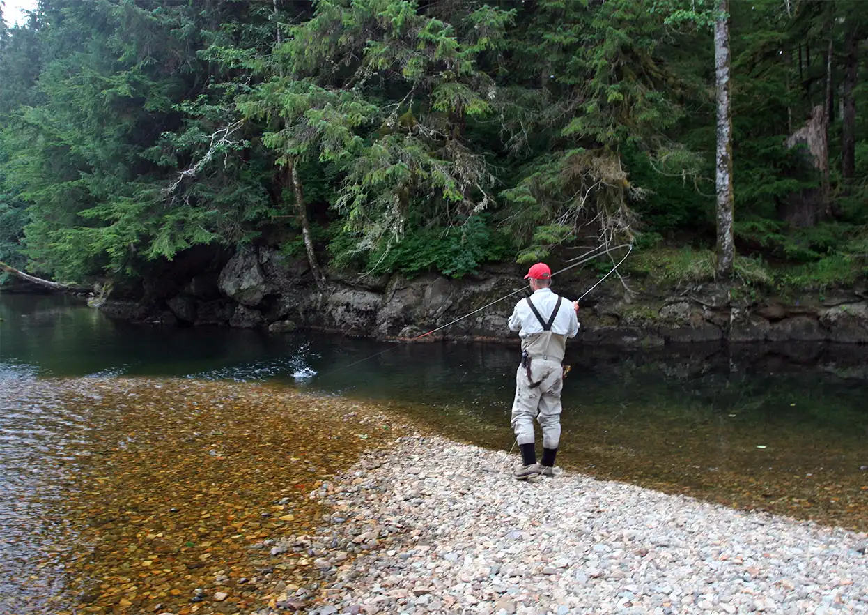 The Fly Shop Travel Image