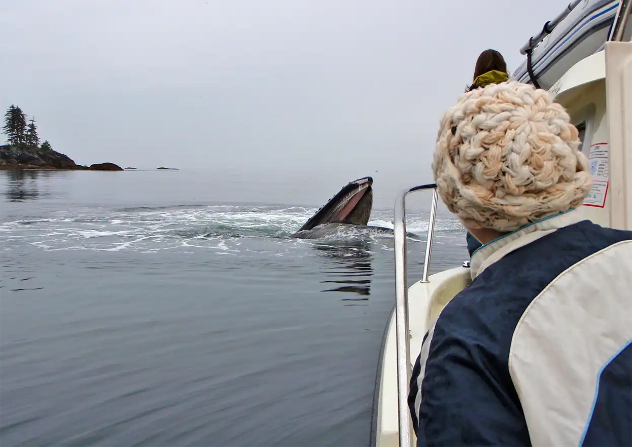 The Fly Shop Travel Image