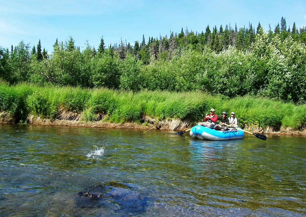 The Fly Shop Travel Image