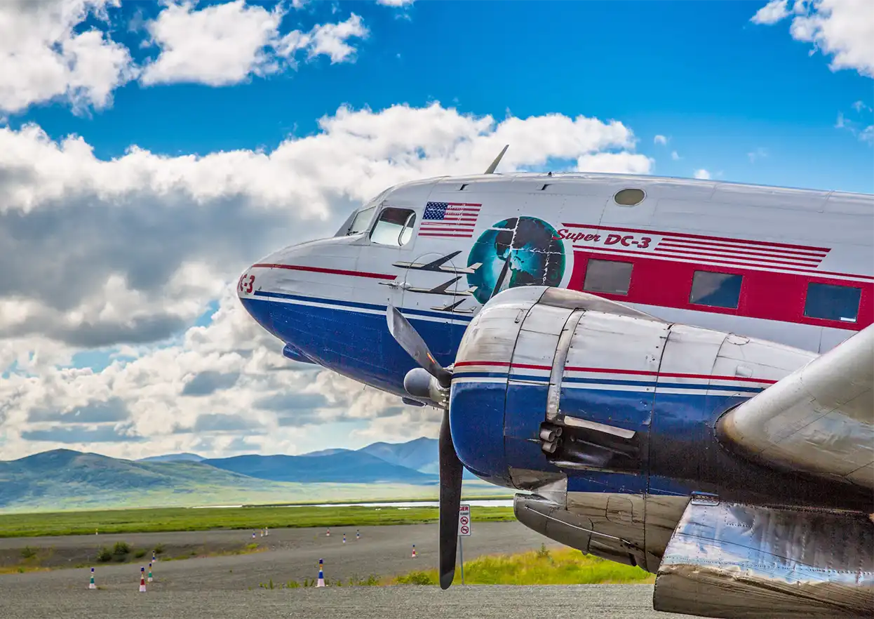 The Fly Shop Travel Image