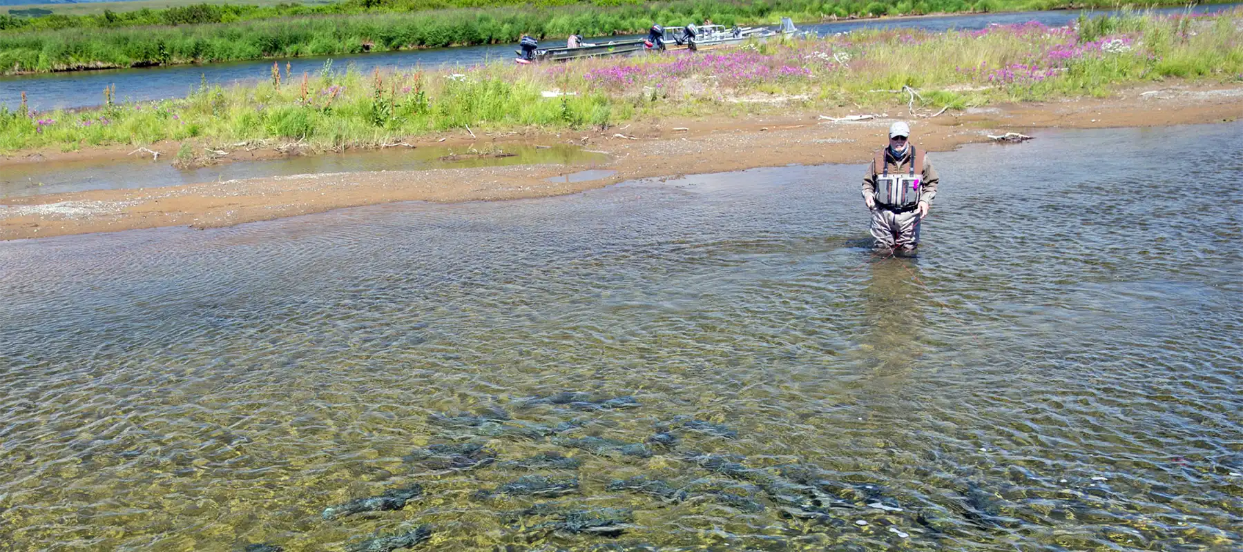 Goodnews River Lodge