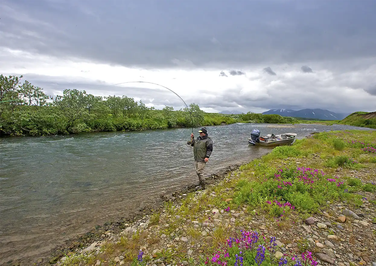 The Fly Shop Travel Image
