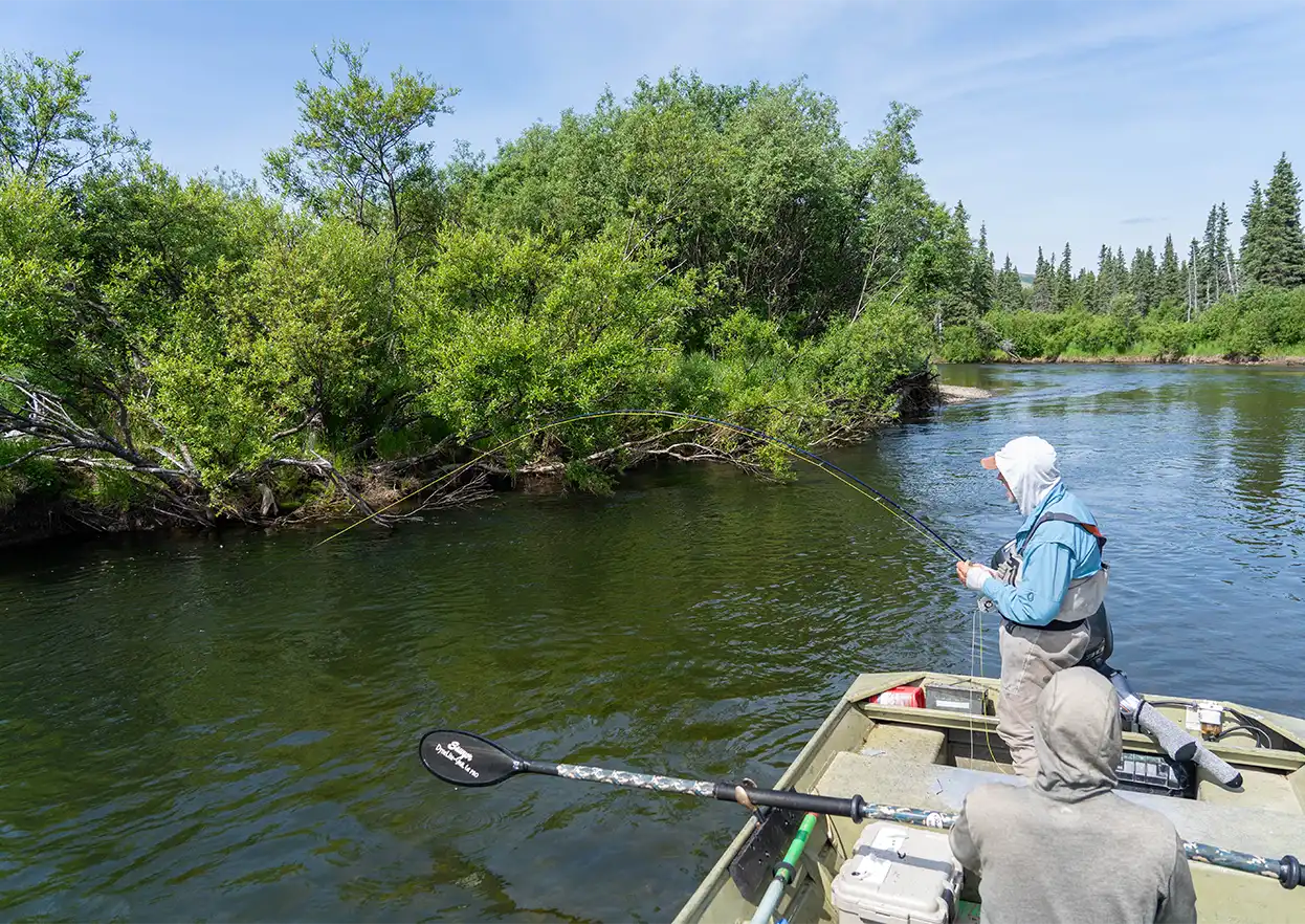 The Fly Shop Travel Image