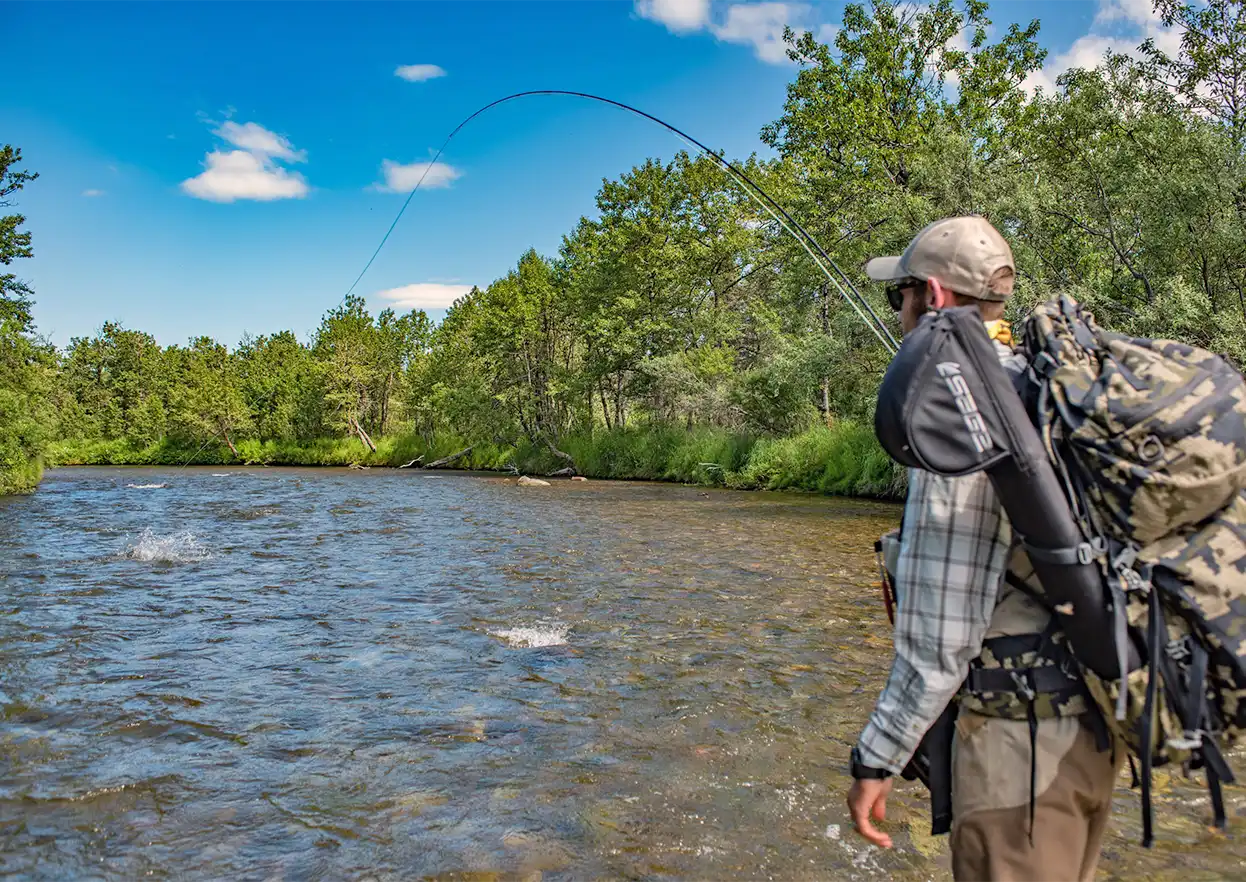 The Fly Shop Travel Image