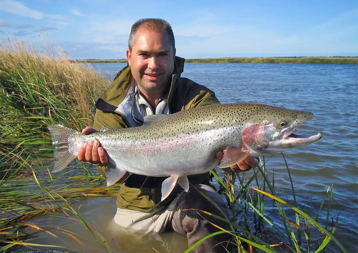 The Fly Shop Travel Image