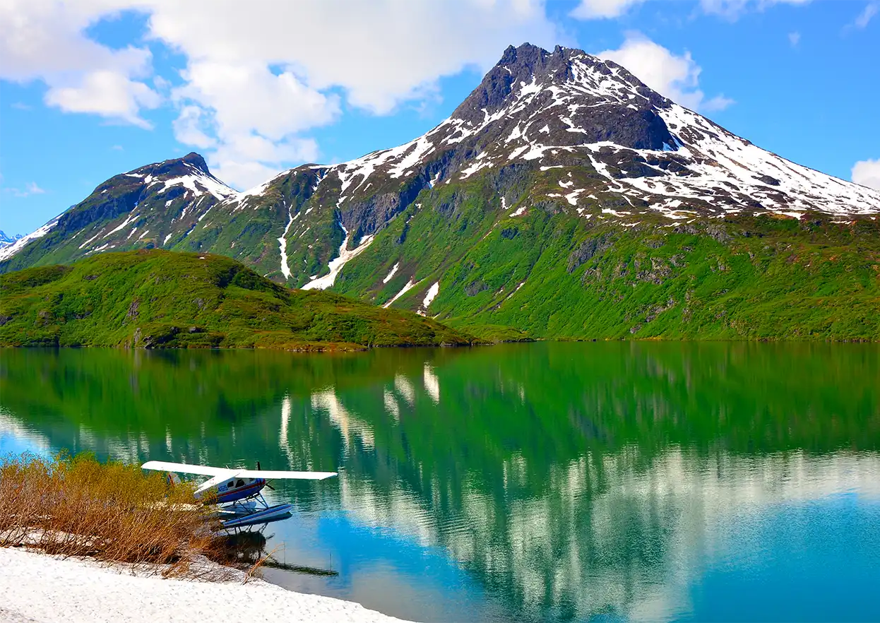 The Fly Shop Travel Image