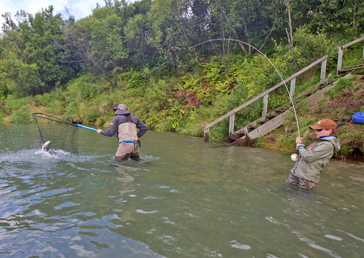 The Fly Shop Travel Image
