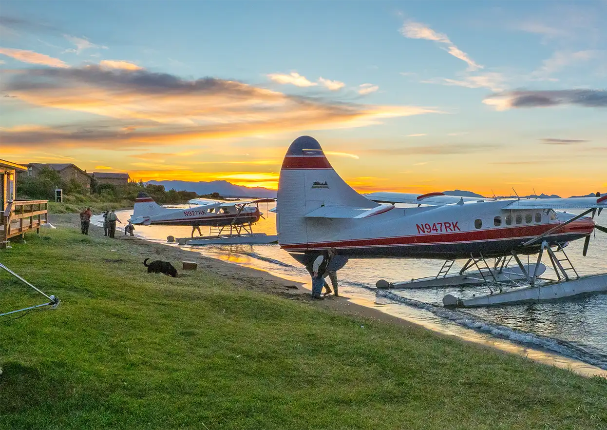 The Fly Shop Travel Image