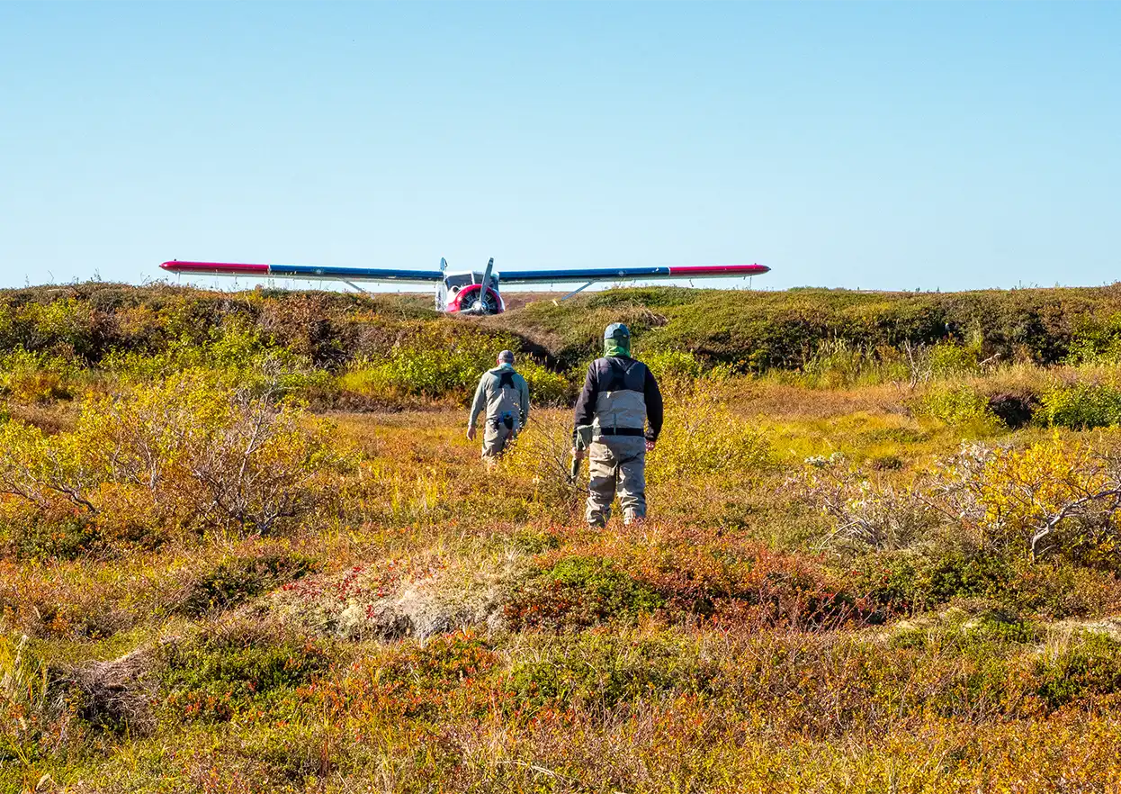 The Fly Shop Travel Image