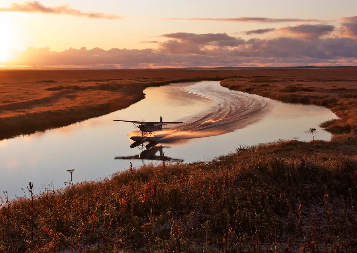 The Fly Shop Travel Image