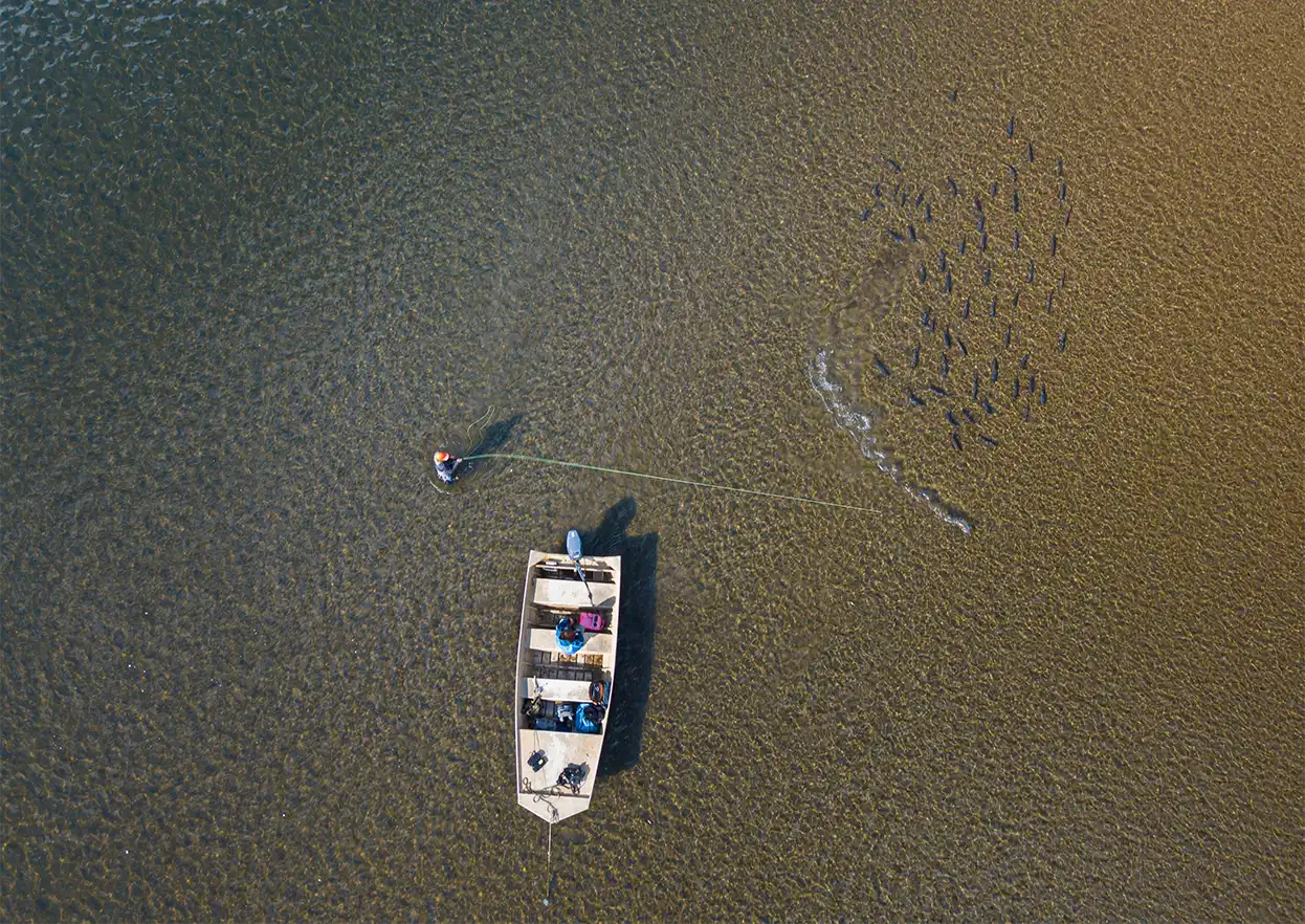 The Fly Shop Travel Image