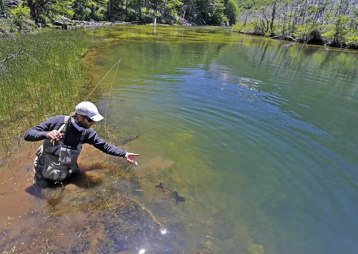 The Fly Shop Travel Image