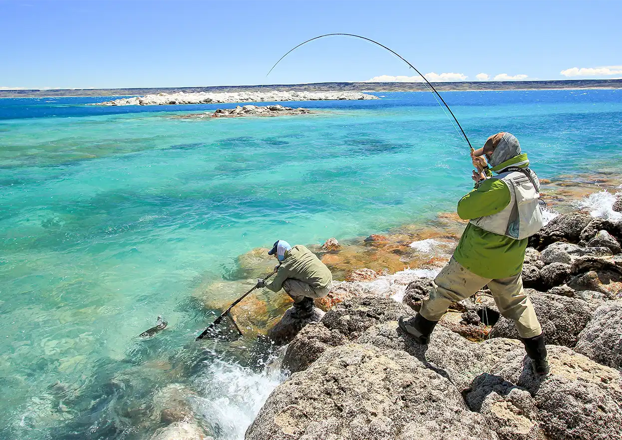 The Fly Shop Travel Image