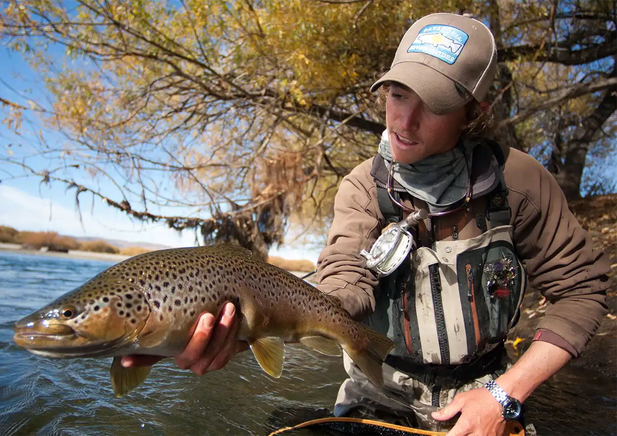 The Fly Shop Travel Image