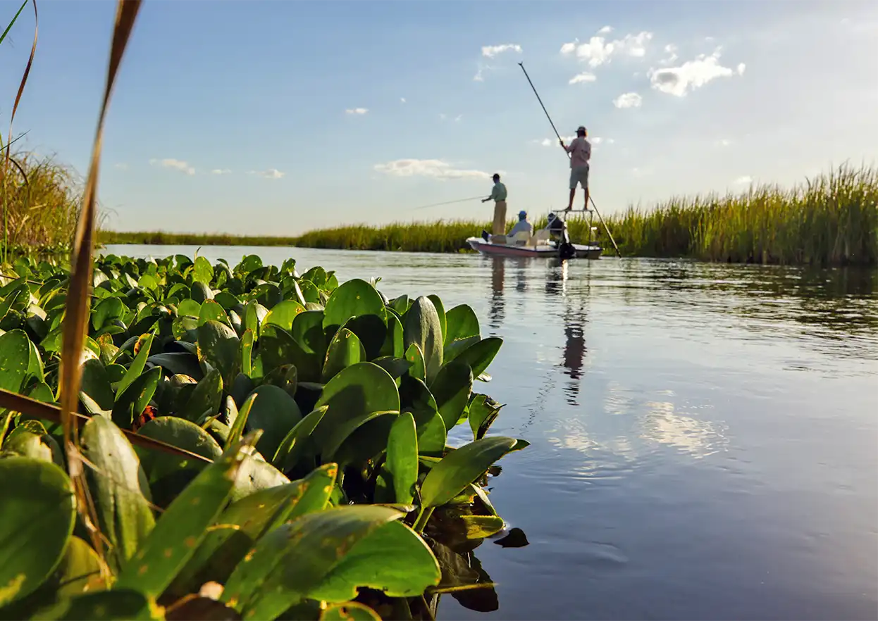 The Fly Shop Travel Image