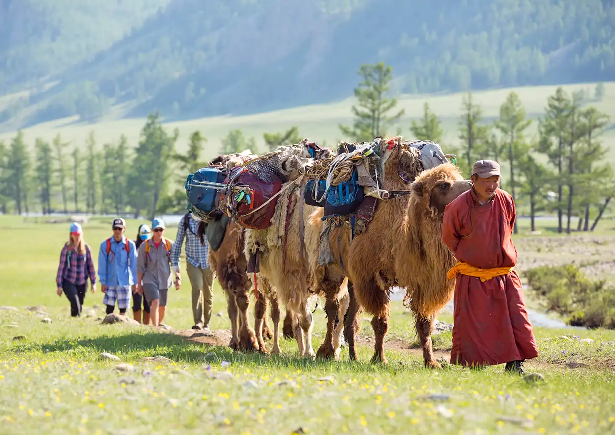 The Fly Shop Travel Image