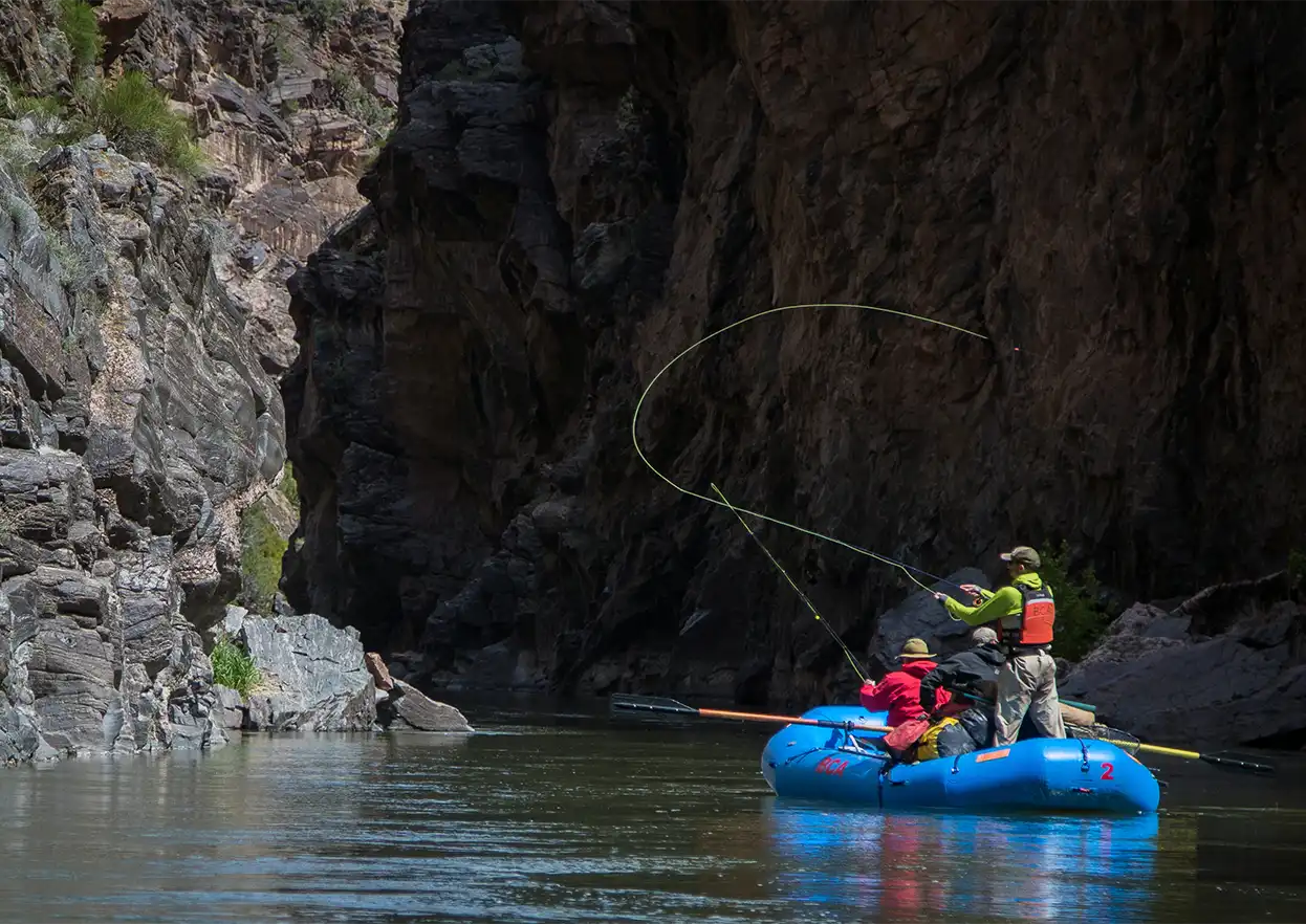 The Fly Shop Travel Image