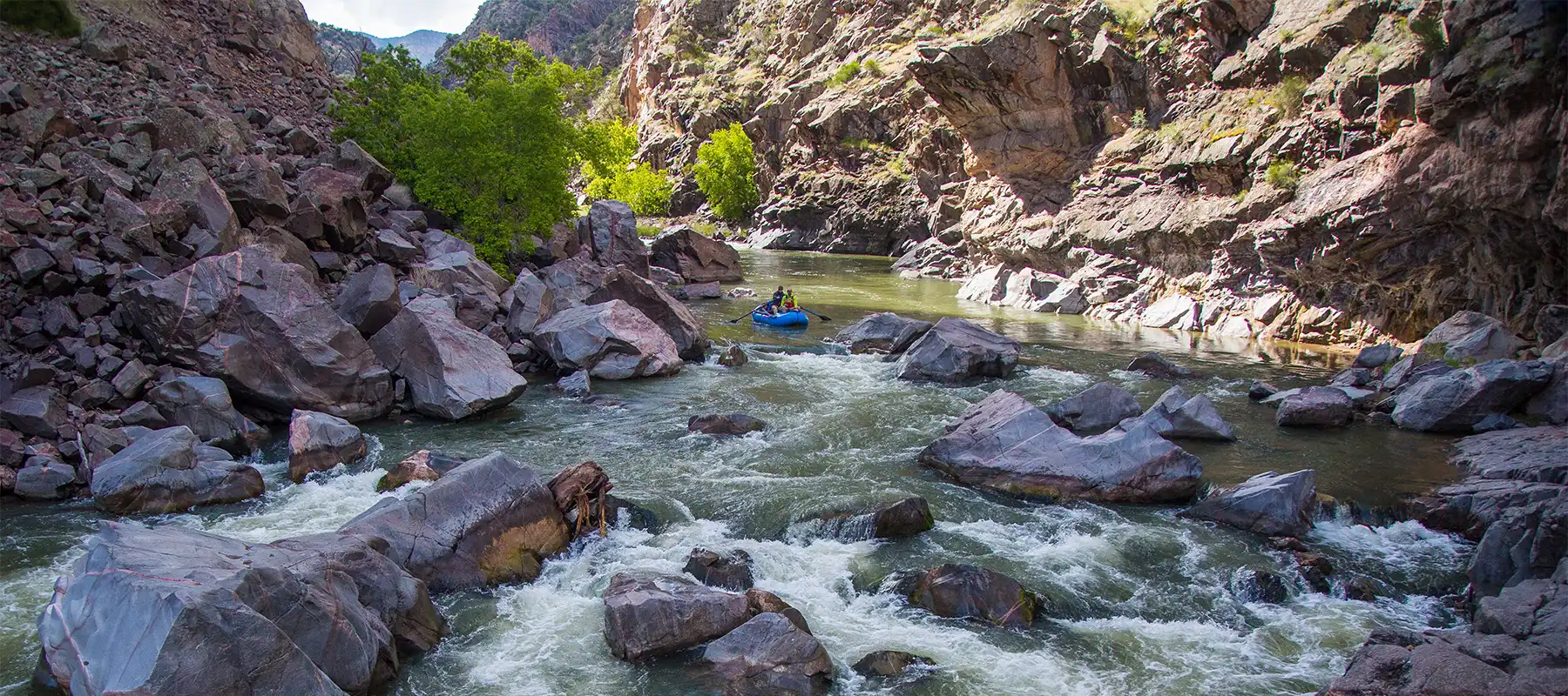 Black Canyon Anglers