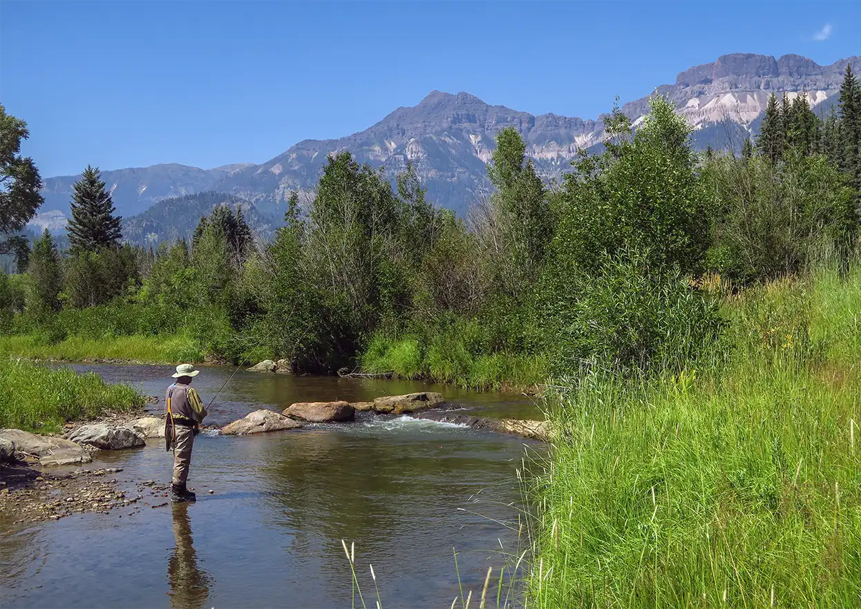 The Fly Shop Travel Image