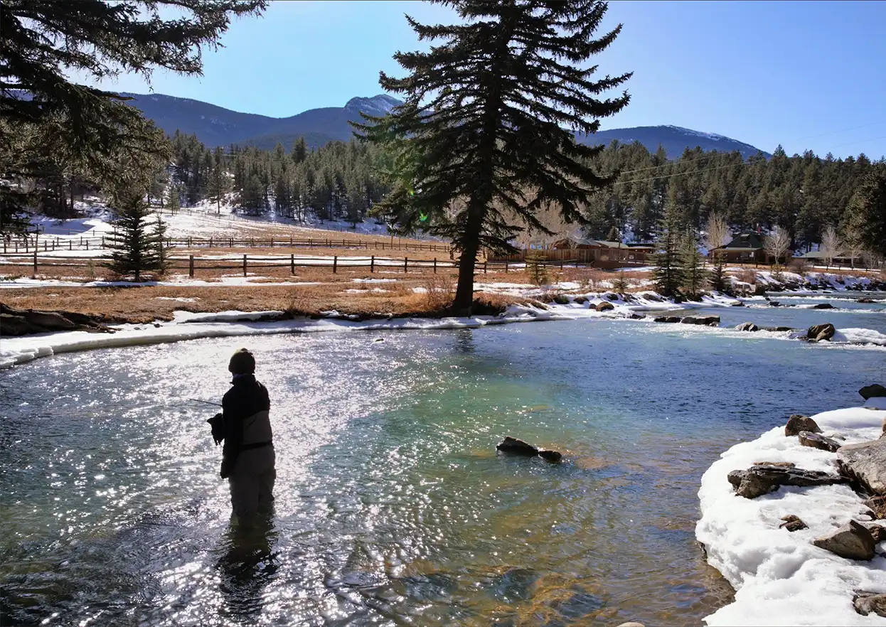 The Fly Shop Travel Image