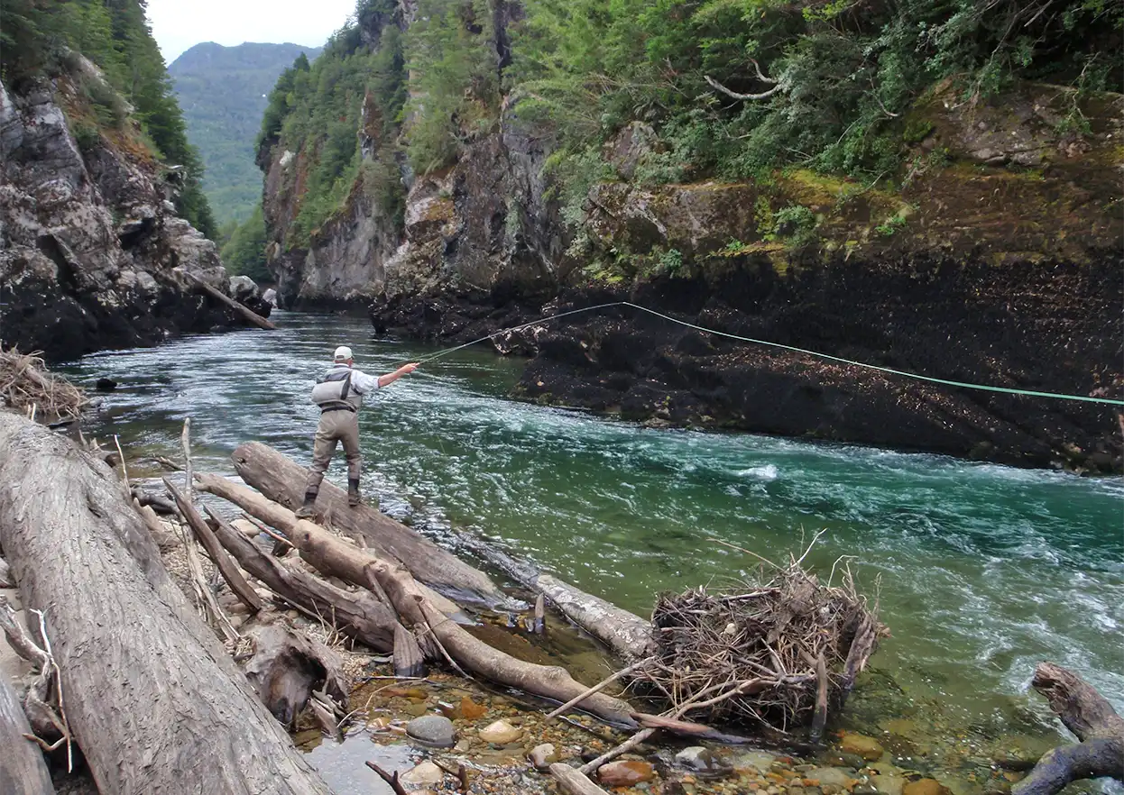 The Fly Shop Travel Image