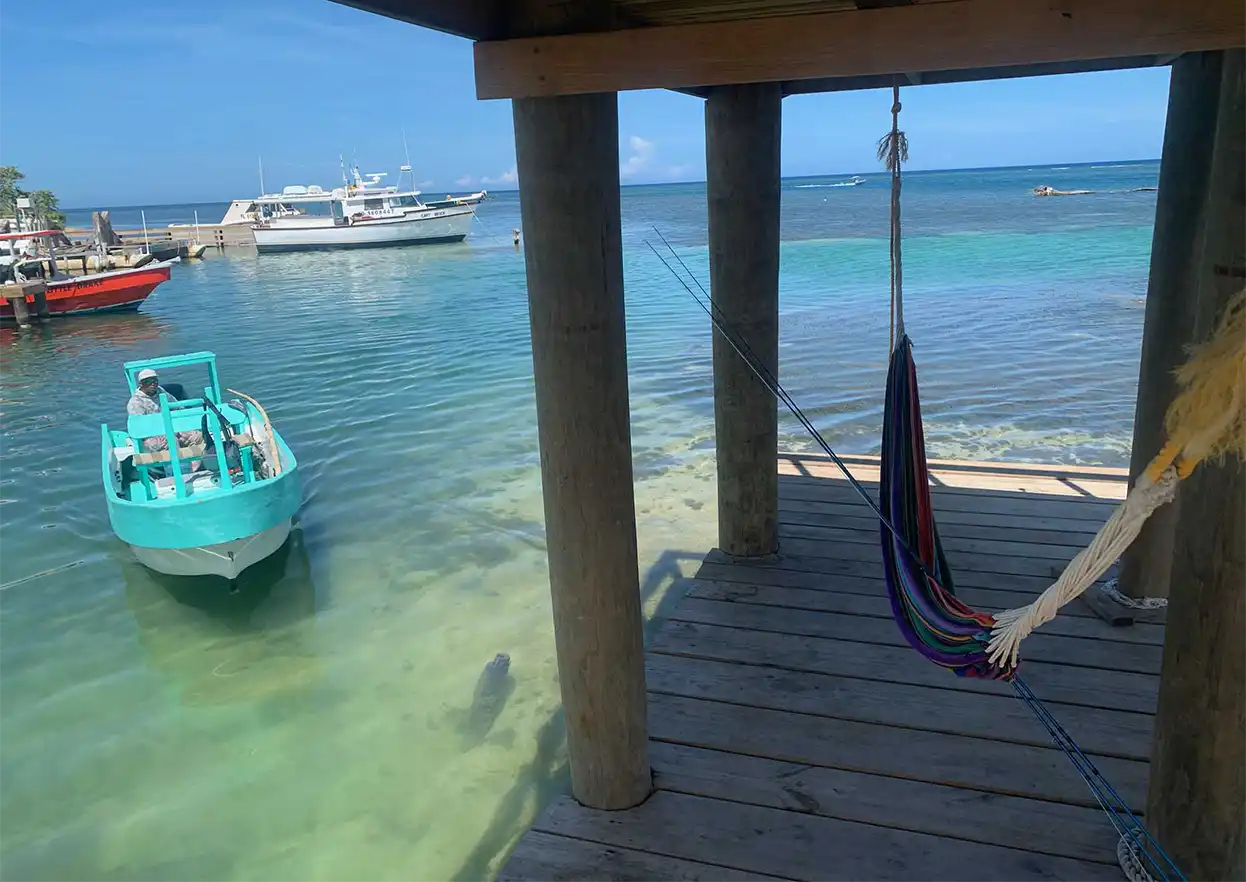 The Fly Shop Travel Image