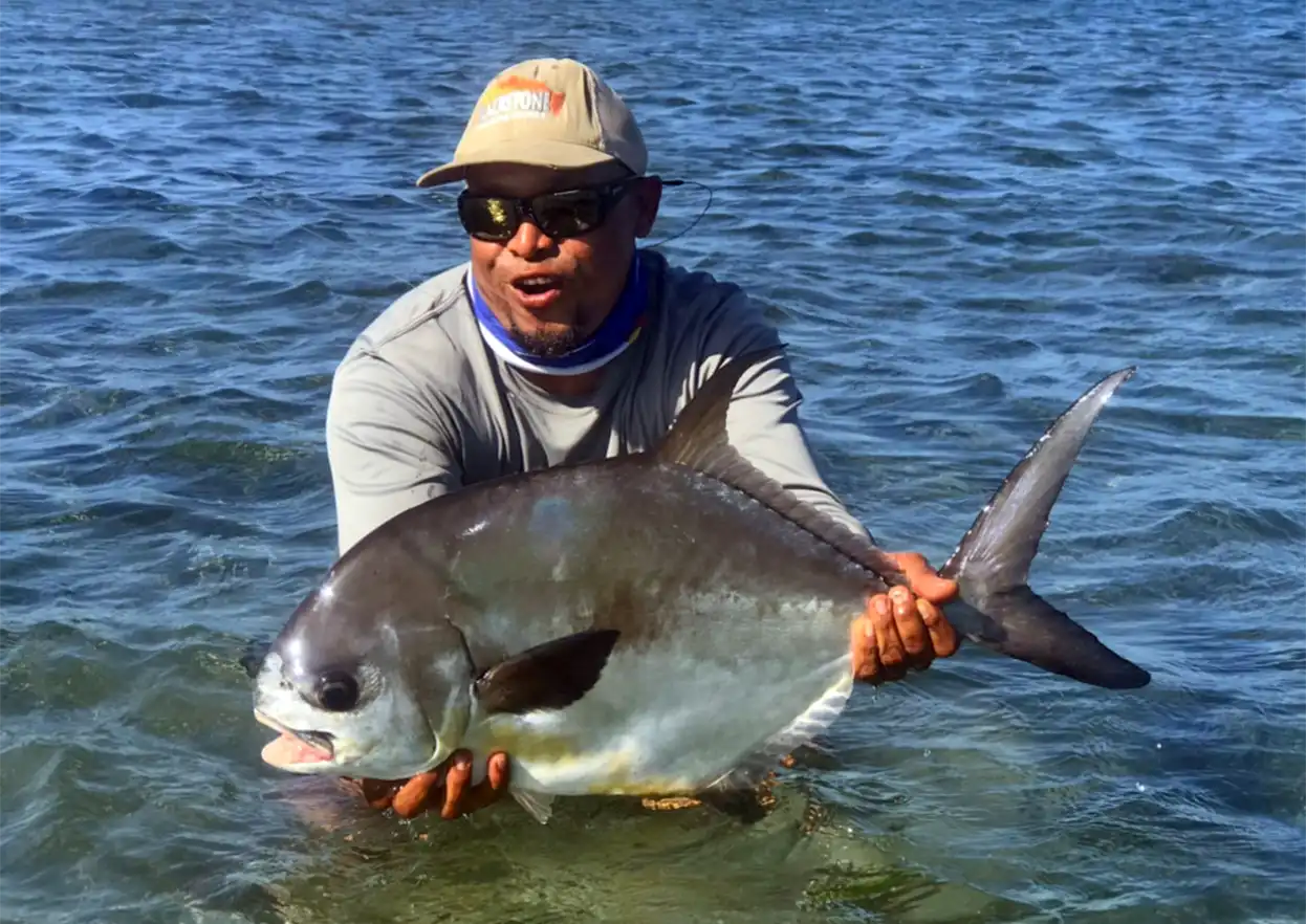 The Fly Shop Travel Image