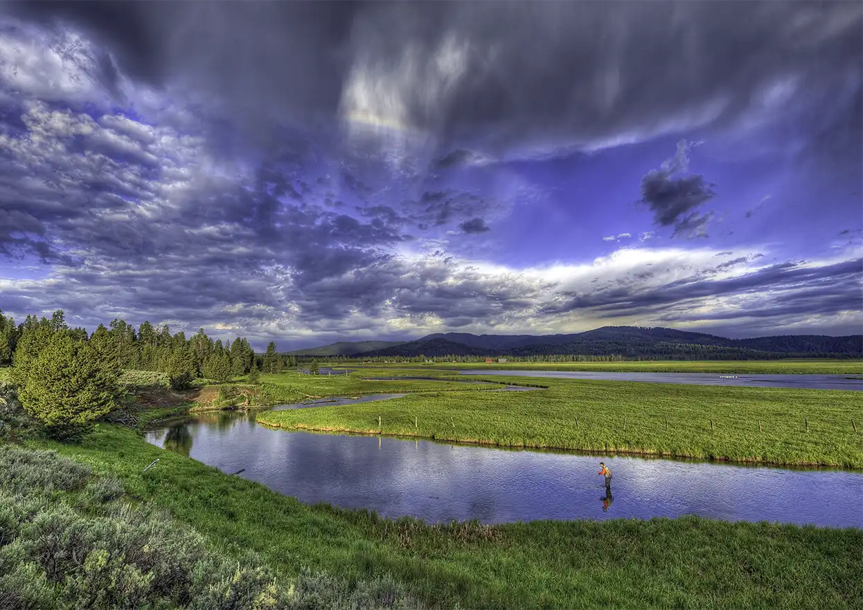 The Fly Shop Travel Image