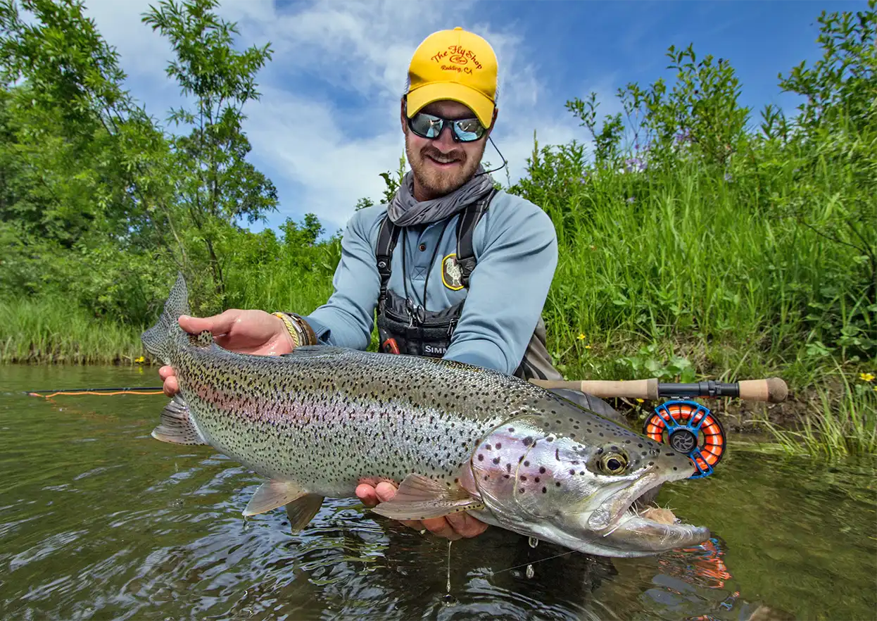 The Fly Shop Travel Image