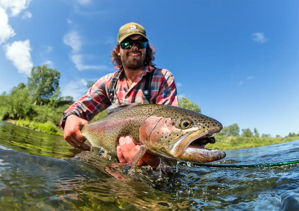 The Fly Shop Travel Image