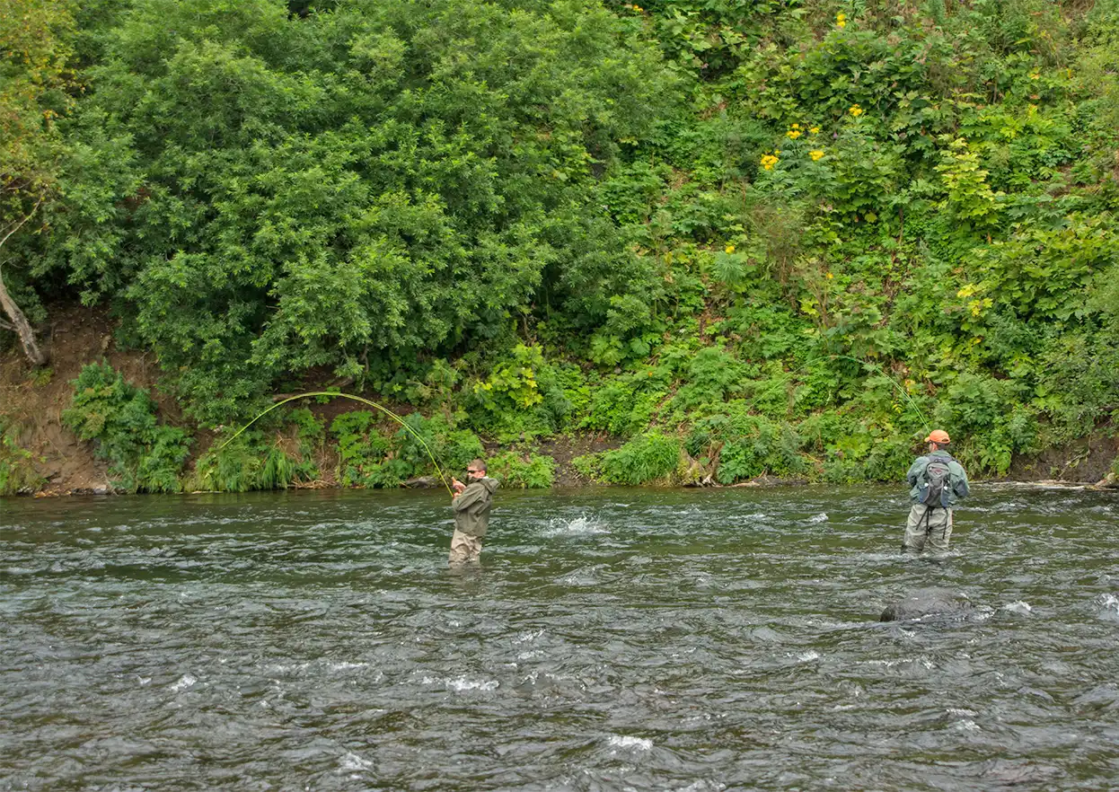 The Fly Shop Travel Image