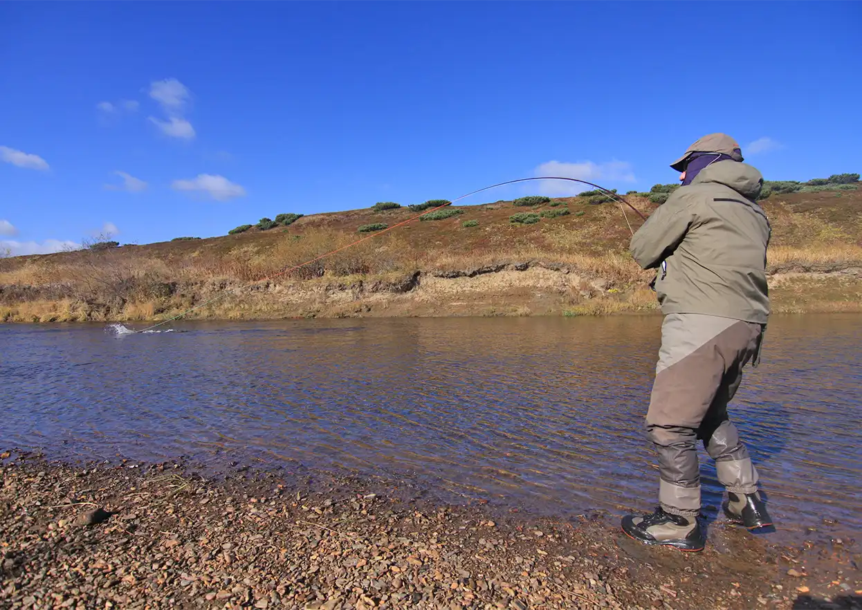 The Fly Shop Travel Image