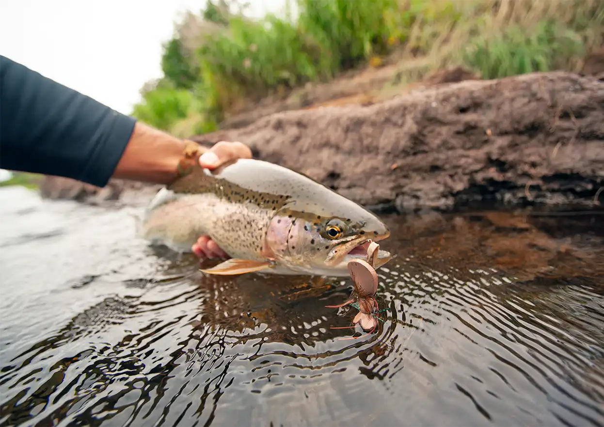 The Fly Shop Travel Image