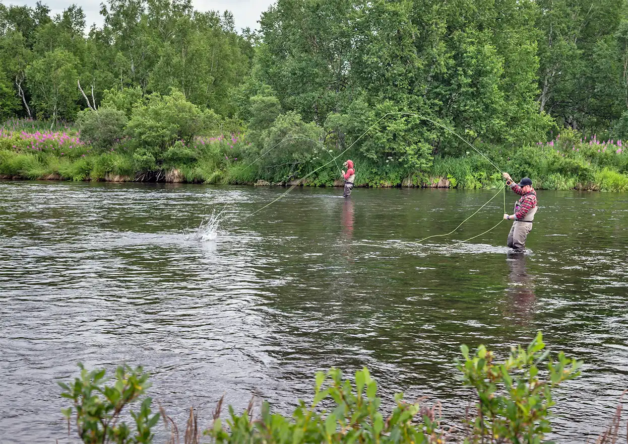 The Fly Shop Travel Image