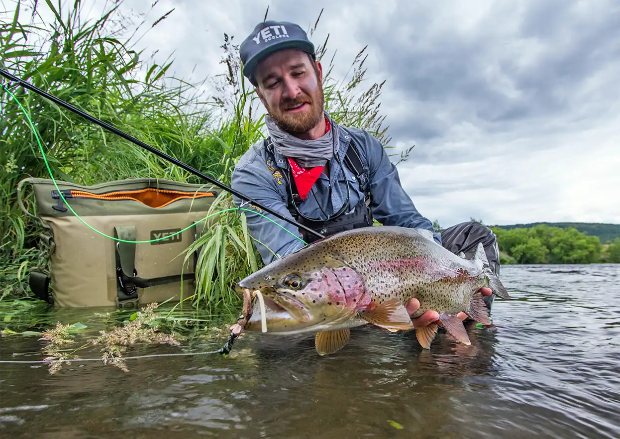 The Fly Shop Travel Image