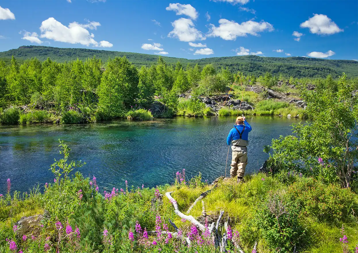 The Fly Shop Travel Image