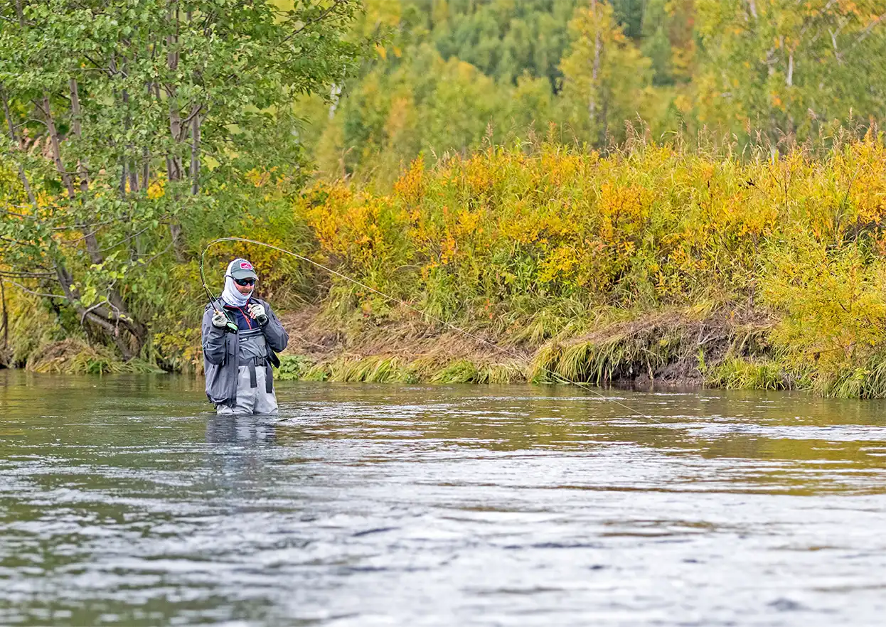 The Fly Shop Travel Image