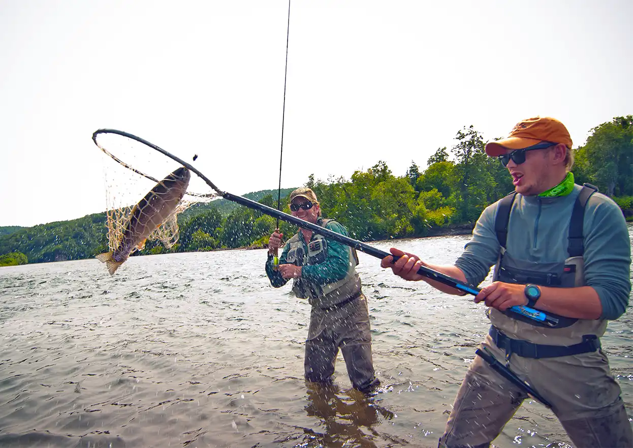 The Fly Shop Travel Image