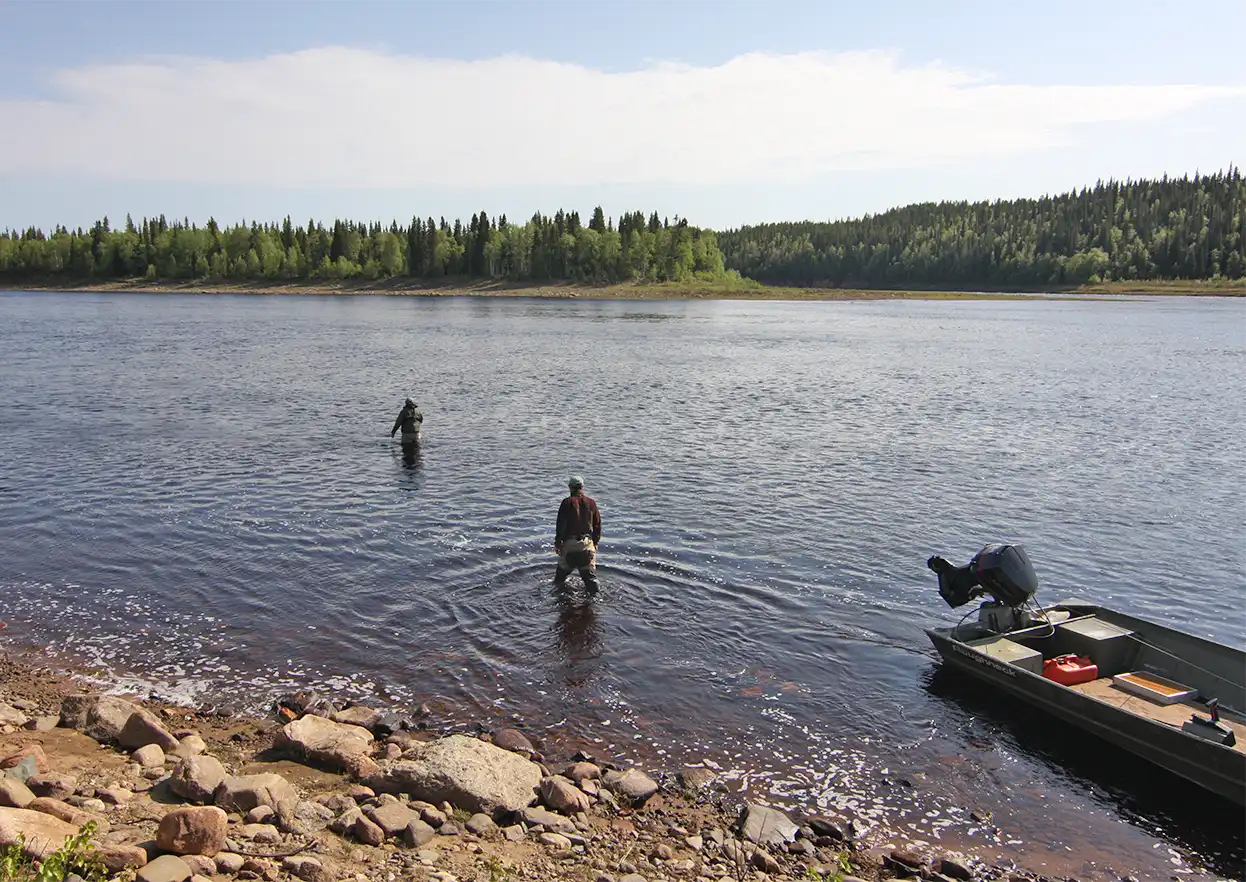 The Fly Shop Travel Image