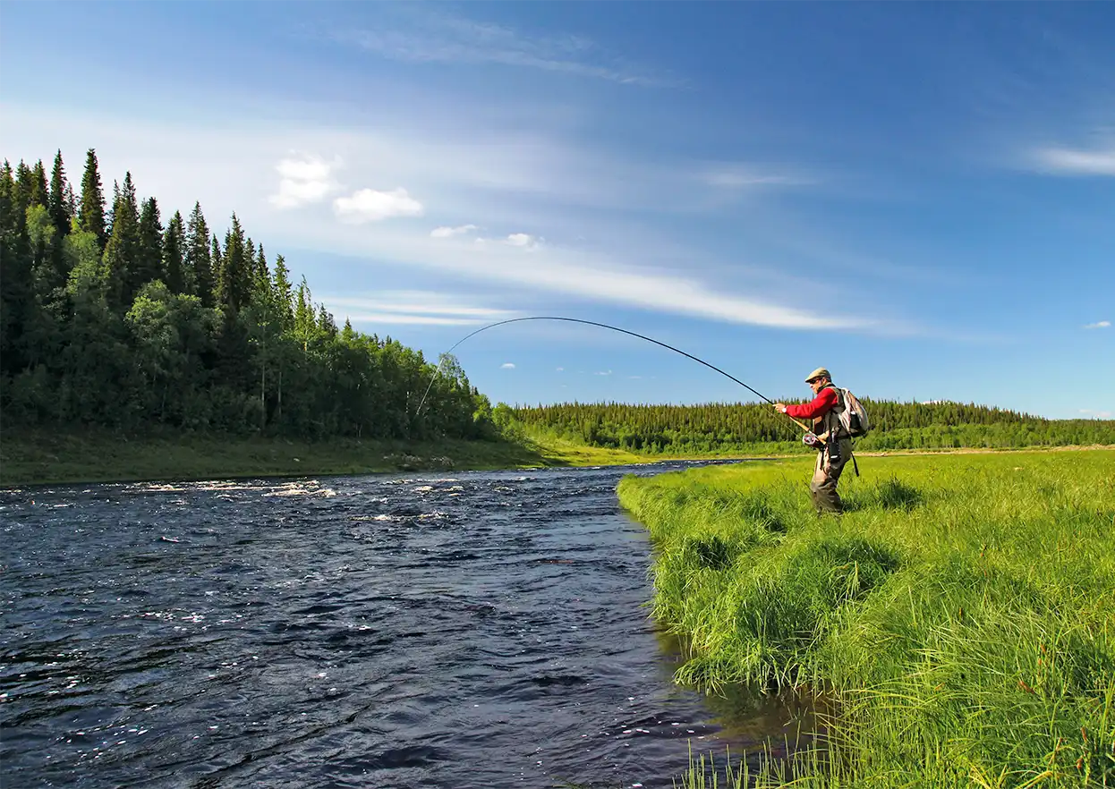 The Fly Shop Travel Image