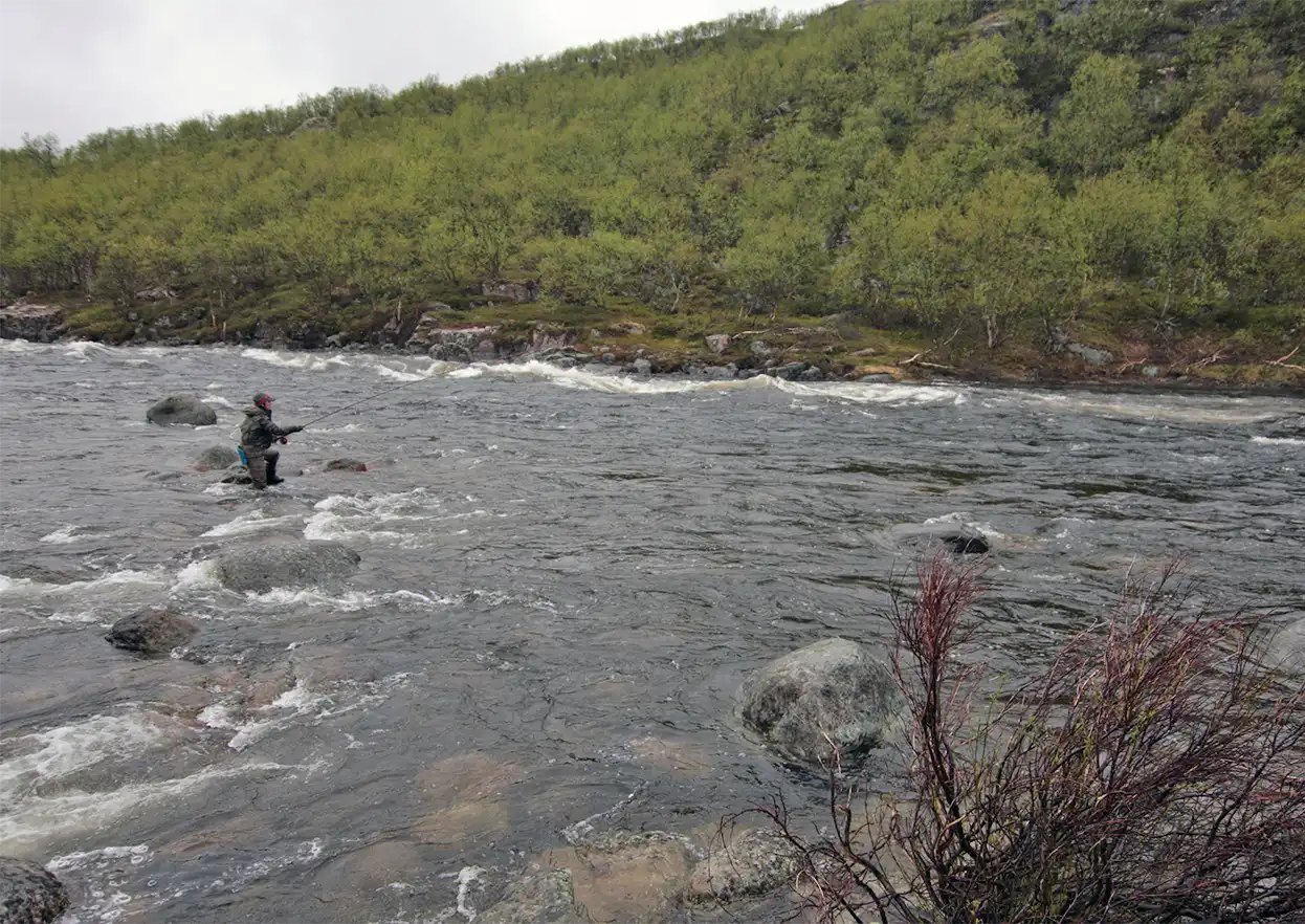 The Fly Shop Travel Image