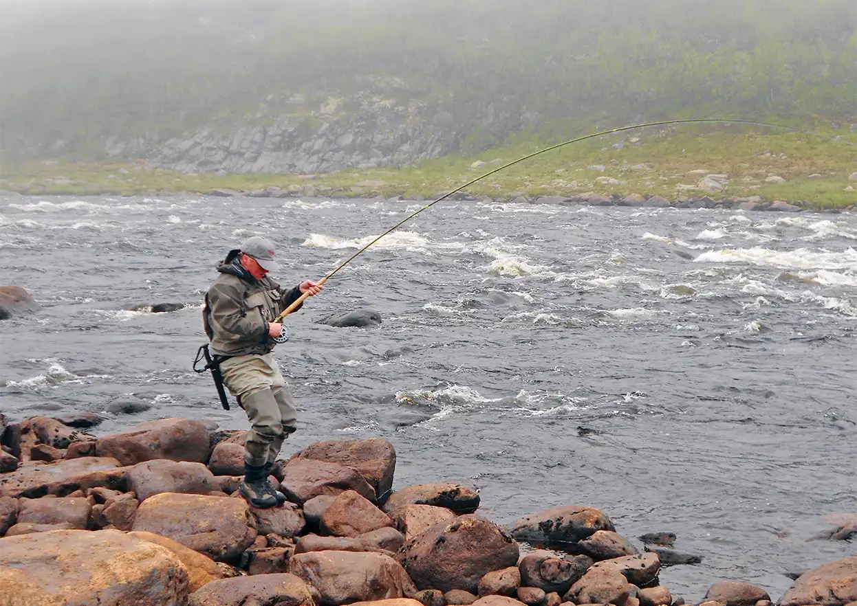 The Fly Shop Travel Image