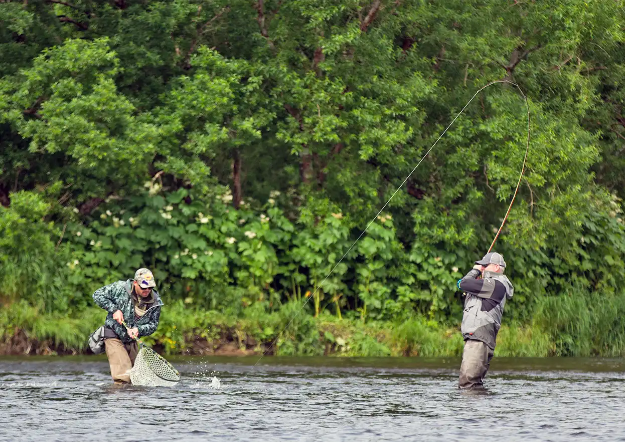 The Fly Shop Travel Image