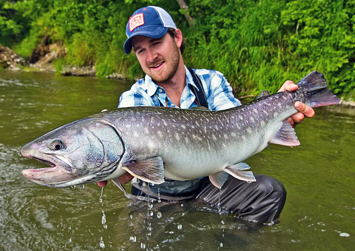 The Fly Shop Travel Image