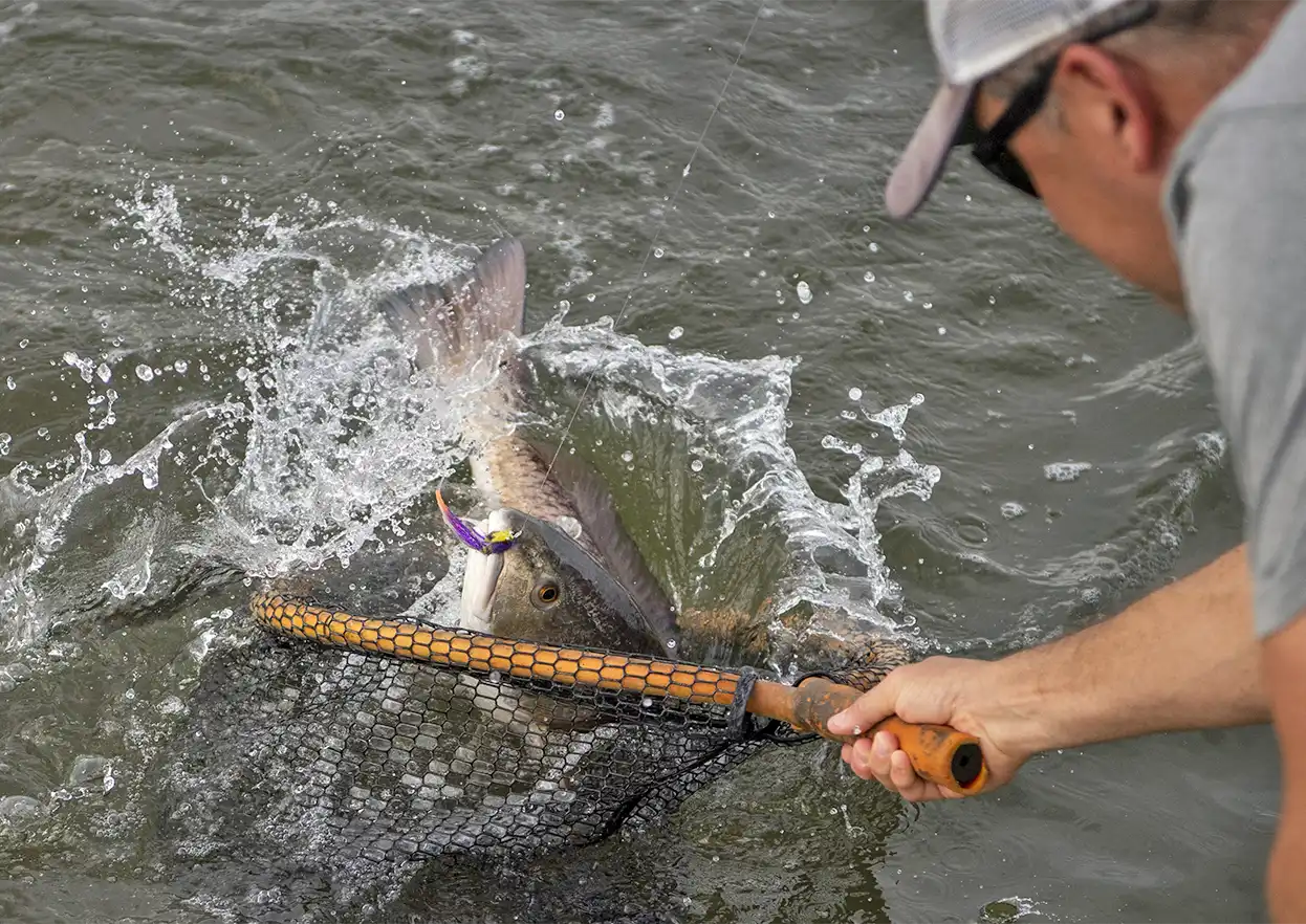 The Fly Shop Travel Image