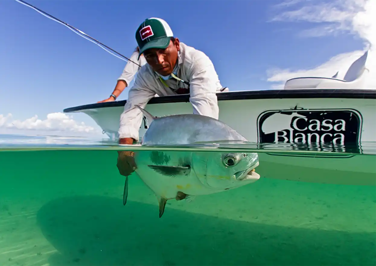 The Fly Shop Travel Image