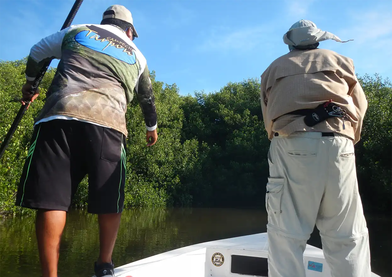 The Fly Shop Travel Image