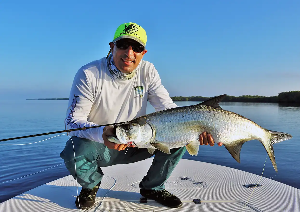 The Fly Shop Travel Image